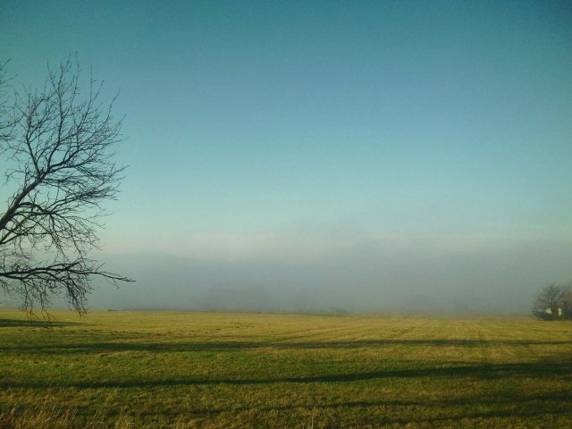 img00003.jpg