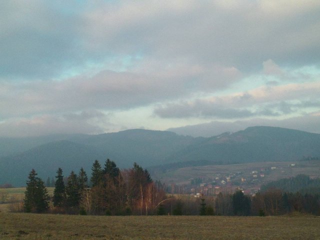 img00011.jpg